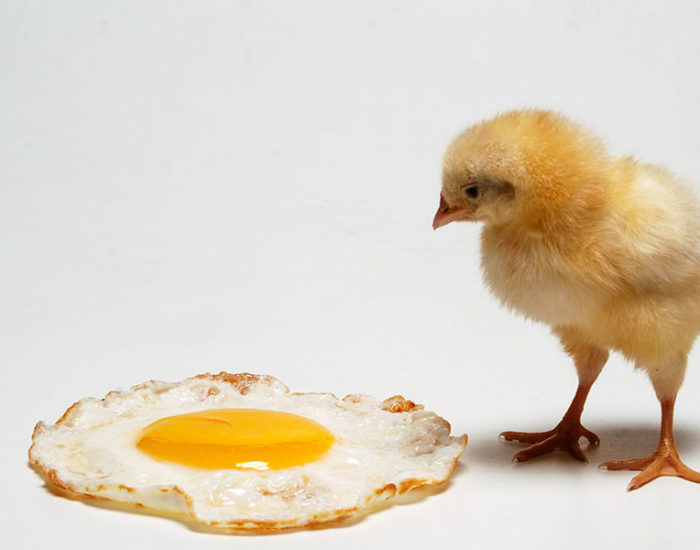 Photo by Vishal Vittal